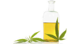 Cannabis Oil - premium - zamiennik - ulotka - producent